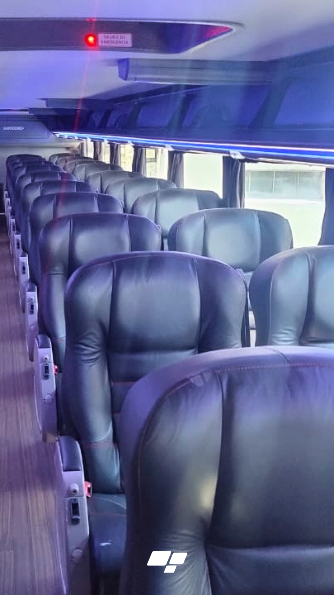 Bus Cama - Interno 24