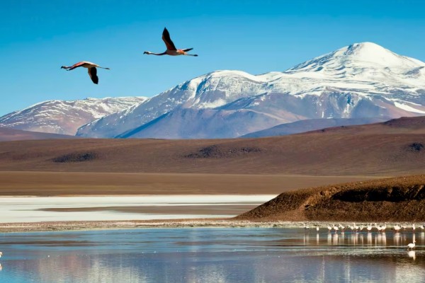 La Rioja con Laguna Brava!