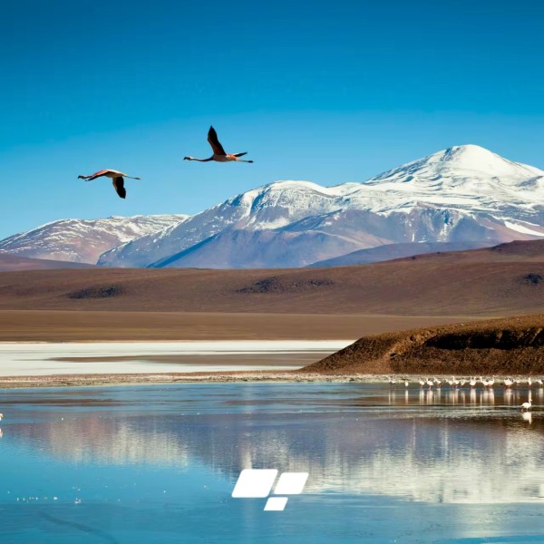 La Rioja con Laguna Brava!