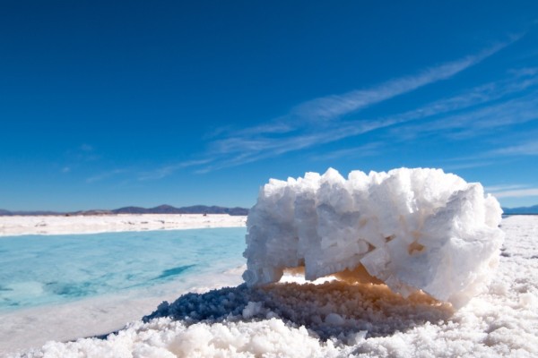 Vivencias del Norte Argentino